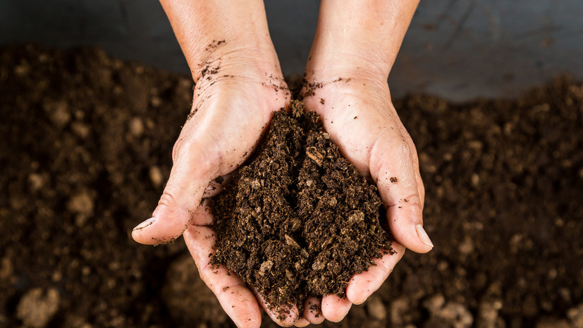 Садовод Самойлова: в компост можно добавить отработанную землю из теплицы