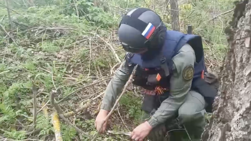 В Курганской области обезвредили боеприпас времён Гражданской войны