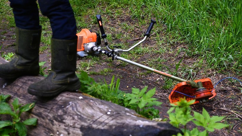 В Союзе дачников призвали не использовать обычную косилку для обрезки кустарников