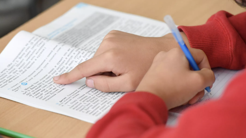 Володин высказался о тестировании детей мигрантов на знание русского