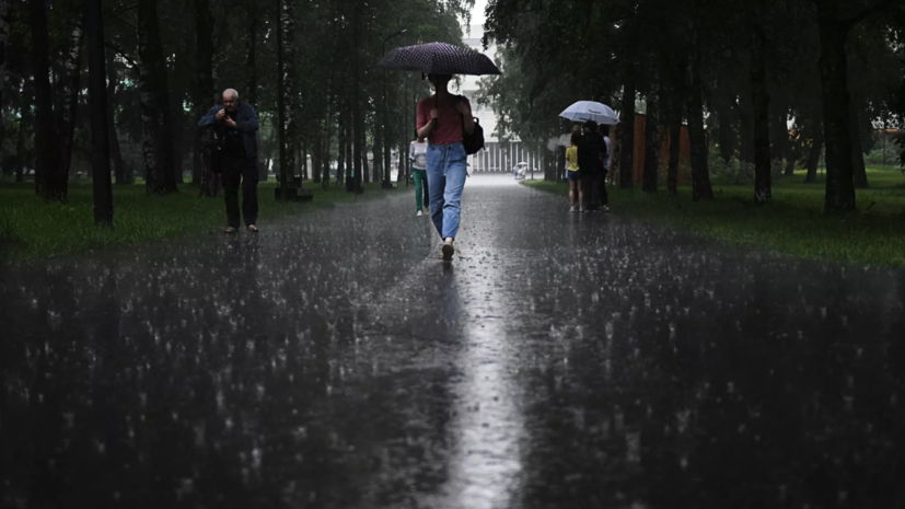 Синоптик Шувалов рассказал, когда в столичный регион придут дожди