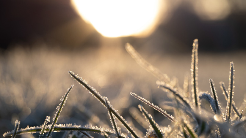 Синоптик Ильин спрогнозировал заметное похолодание в Москве к концу следующей недели