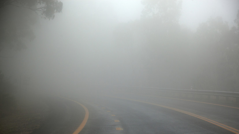Синоптик предупредил о тумане в Московской области на неделе