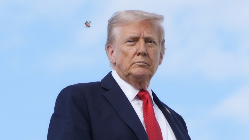 Reuters: реакция Трампа на инцидент с БПЛА в Польше встревожила НАТО