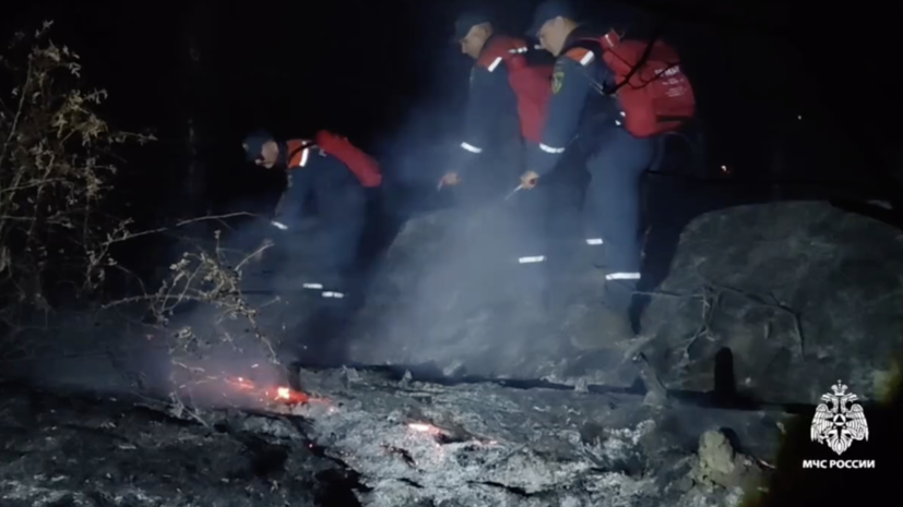 Спасатели локализовали крупный лесной пожар около посёлка Орджоникидзе в Крыму