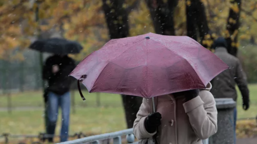 Синоптик Ильин: дождливая осенняя погода придёт в Москву в середине недели