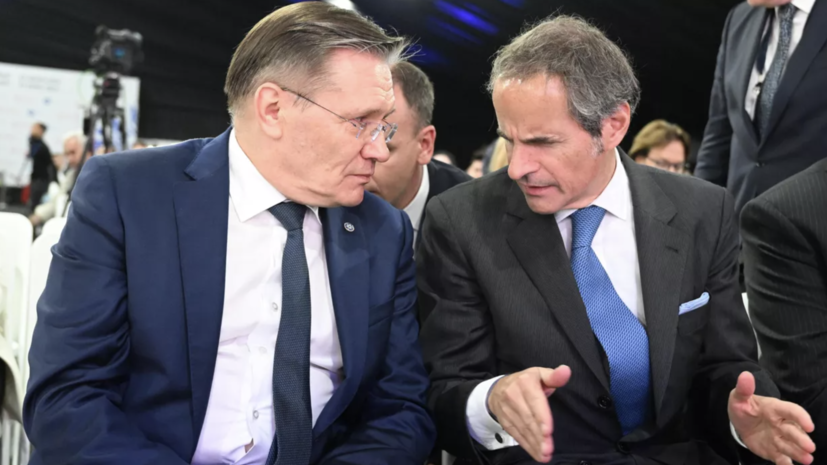 Лихачёв и Гросси обсудили в Вене безопасность российских АЭС