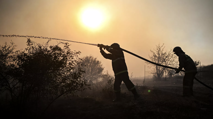 Сухая растительность горит на площади 50 га под Симферополем