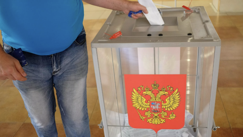 В ОП отметили способность избирательной системы России адаптироваться