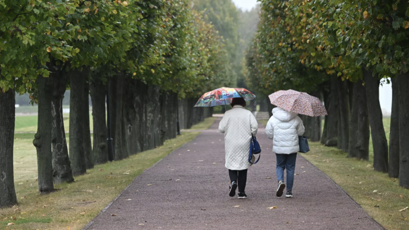 Синоптик Ильин: в Подмосковье ожидается похолодание с 16 сентября