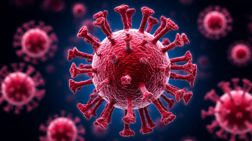 Проректор Прохоренко высказался о российской системе «Санитарный щит»