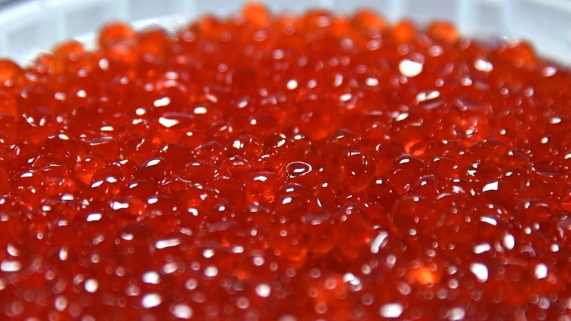 Губернатор Камчатки выступил против запрета на авиаперевозку икры для личных целей