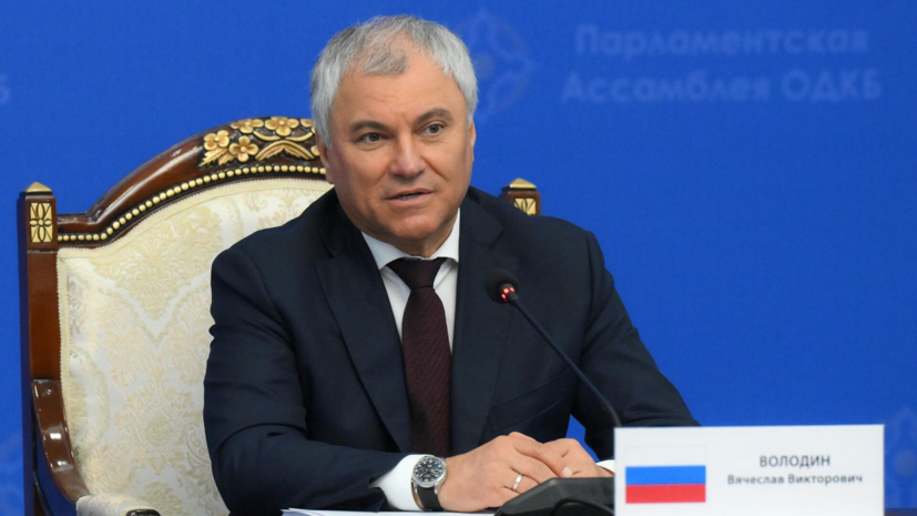 Володин назвал вражеской провокацией инцидент с БПЛА в Польше