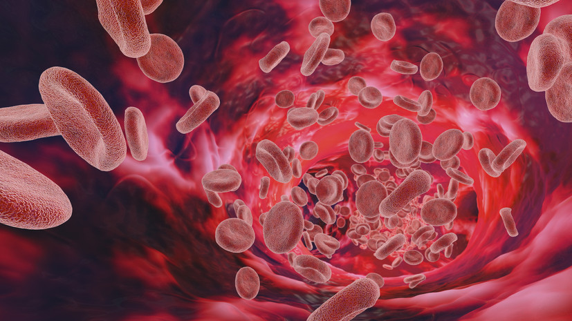 Специалист Давыдов: кофеин может влиять на качество сдаваемой крови