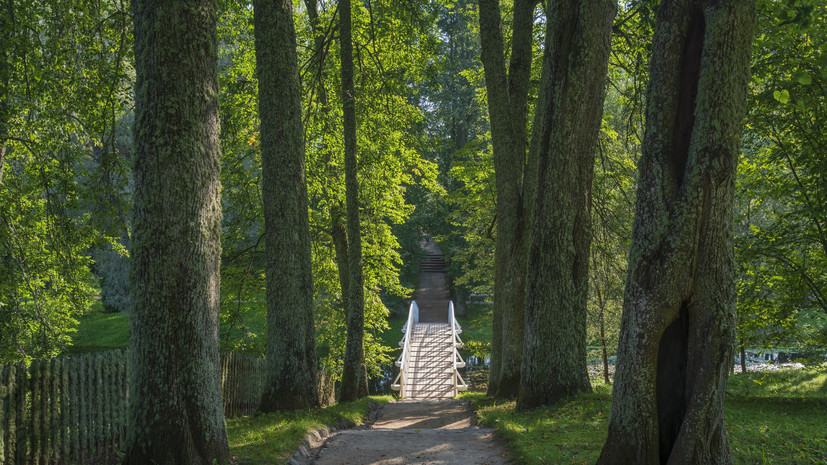 В Ставрополе открылась выставка «Мавзолей аланского правителя»
