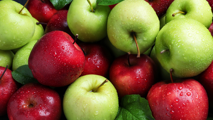 Диетолог Круглова: яблоки способствуют нормализации уровня холестерина