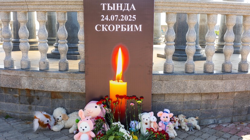 «Проверь высоту. Низко земля. Низко земл…»: МАК опубликовал последние слова экипажа разбившегося под Тындой Ан-24