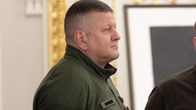 Политтехнолог Павлив: у Залужного серьёзные шансы на победу в президентских выборах