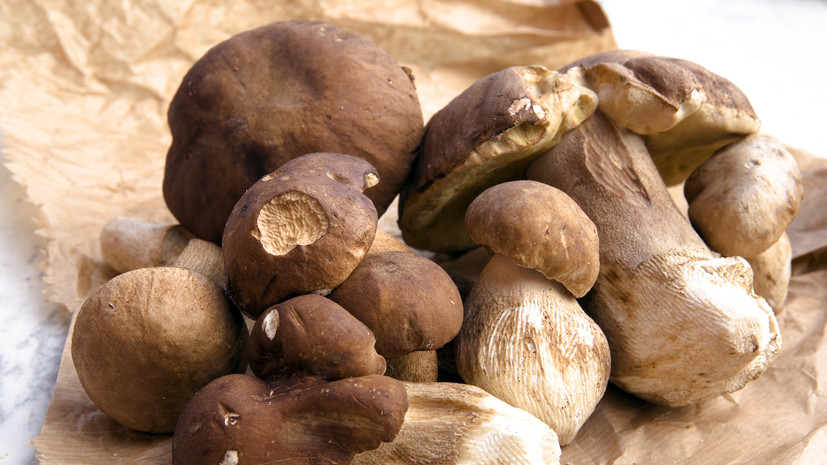 Шеф-повар: белые грибы нежелательно замораживать сырыми