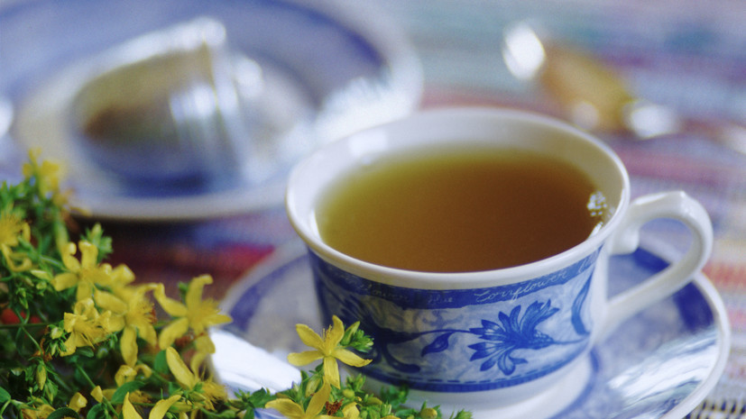 Нутрициолог Леонова посоветовала добавить в рацион зелёный чай