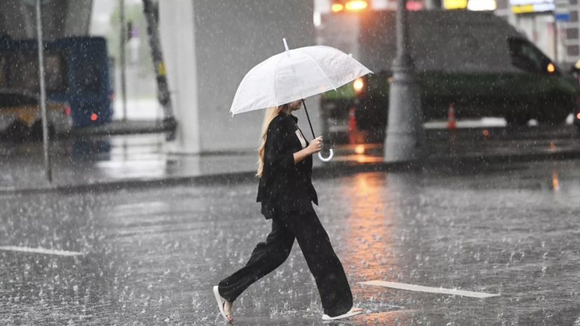 Синоптик Леус заявил, что поздно вечером в Москве ожидаются дожди