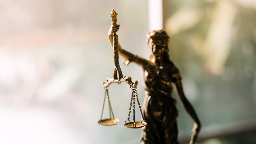 Хабаровский суд взыскал миллион рублей в пользу девочки, пострадавшей от собак