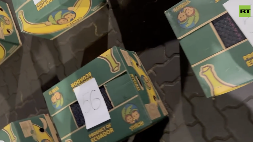 ФСБ показала видео с изъятием 1,5 т кокаина в Петербурге