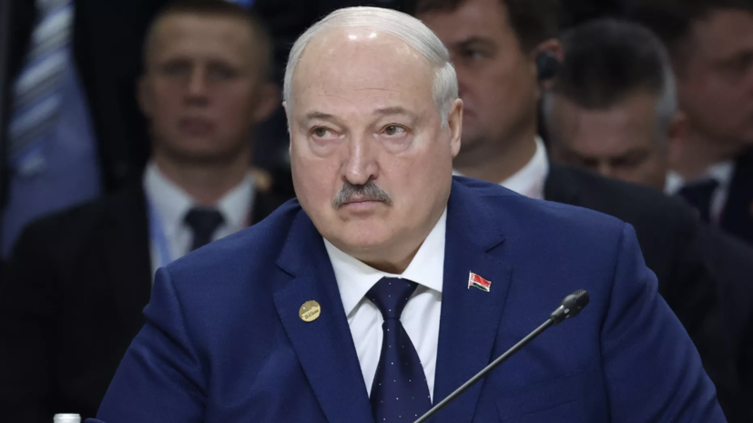 Лукашенко предложил решить проблему с картофелем по-военному