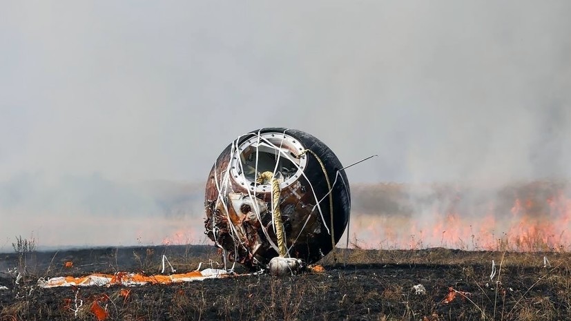 Десять из 75 совершивших полёт на спутнике «Бион-М» №2 мышей погибли