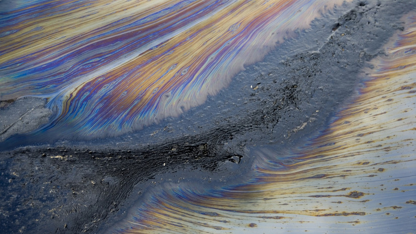 Bloomberg: ЕС рассматривает меры против поставок российской нефти по «Дружбе»