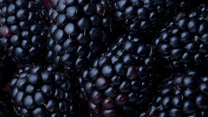 Врач рассказал, какие продукты добавить в рацион для укрепления иммунитета