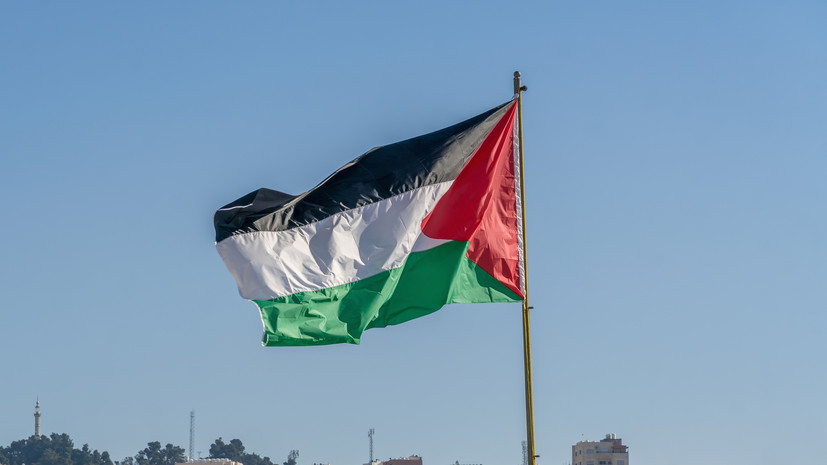 Филиппо: признанием Палестины страны решили опередить хвастливого Макрона