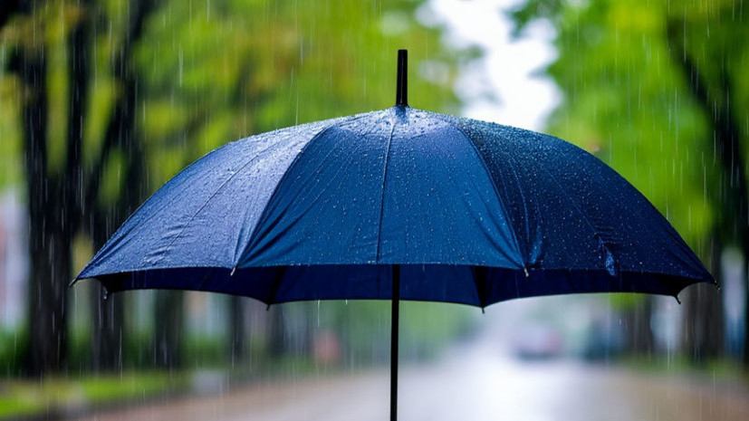 Климатолог спрогнозировал увеличение количества осадков в течение десятилетия