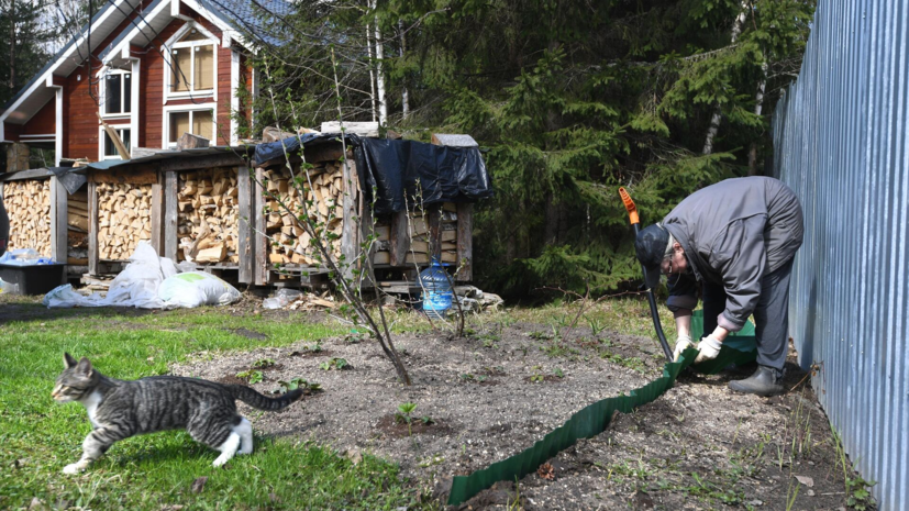 Садовод Кашнова назвала последнюю неделю сентября важным временем для огородников