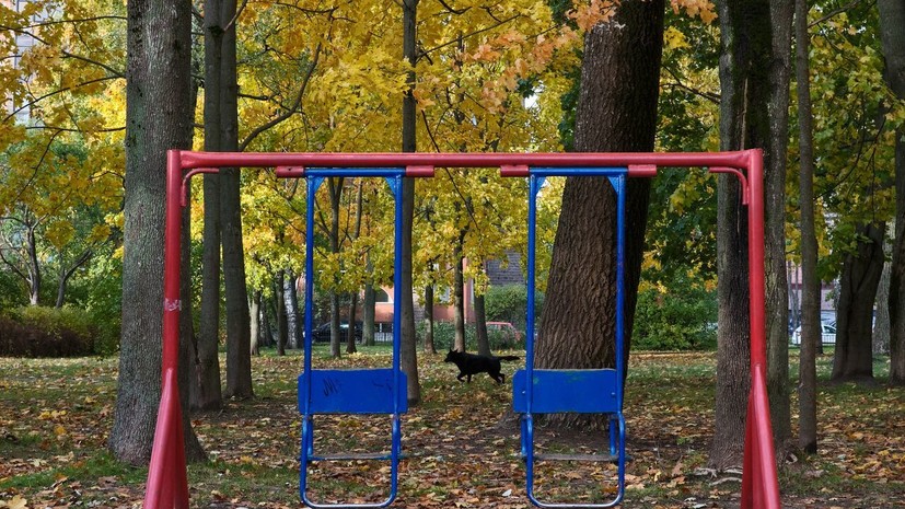 В Коми школы и детсады района закрыли на карантин из-за вспышки сальмонеллёза