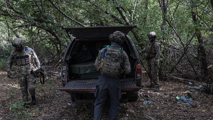 Песков: утверждение о том, что Украина якобы может что-то отвоевать, ошибочное