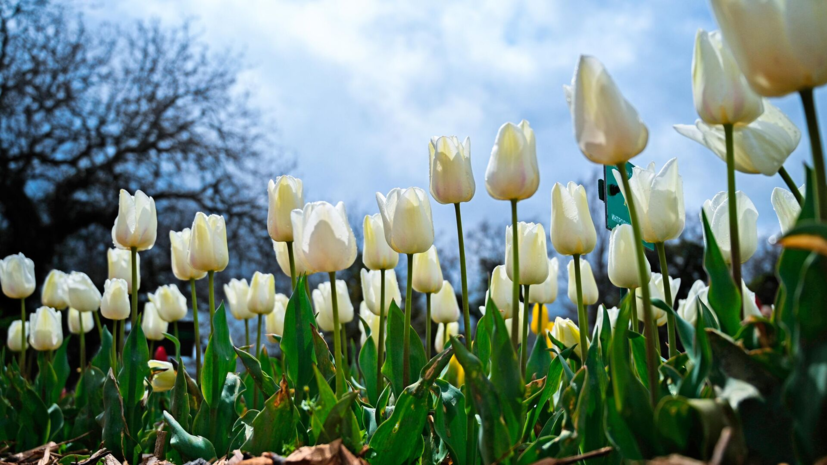 Россияне будут отдыхать 21—23 февраля и 7—9 марта