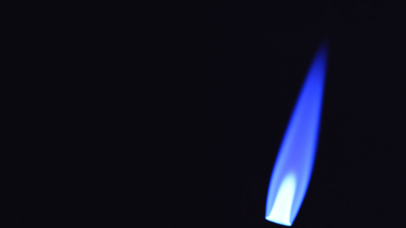 Желязков: Болгария откажется от транзита российского газа в 2026 году