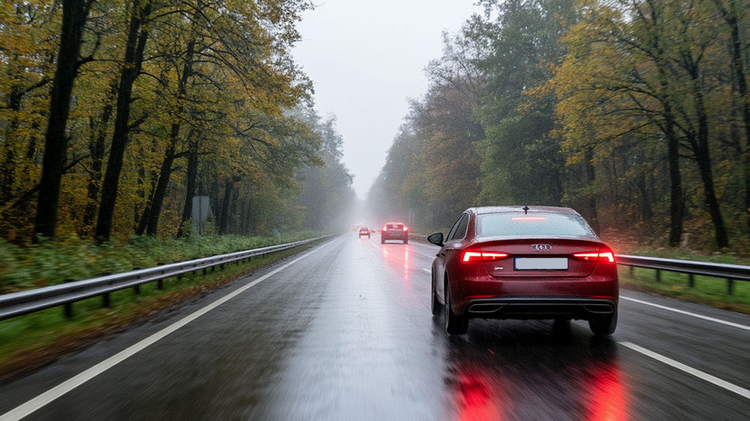 Автоэксперт Родионов посоветовал водителям чаще смотреть прогноз погоды осенью