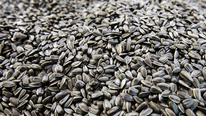 Диетолог Поляков рассказал о допустимой норме употребления семечек