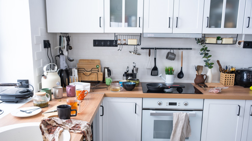 Кошелев: жильцов могут оштрафовать за антисанитарию в квартирах