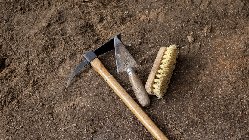 Курганские археологи представили артефакты из костей на научной конференции