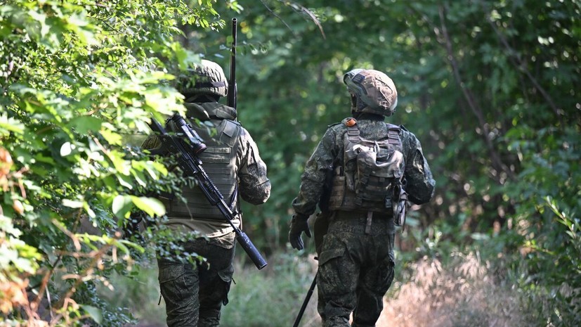 Сальдо заявил, что Карантинный остров Херсона взят под полный огневой контроль