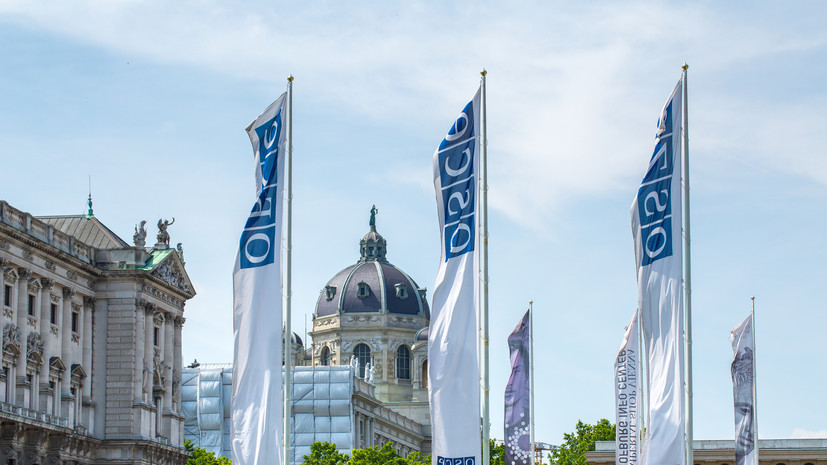 МИД ПМР призвал ОБСЕ принять меры для обеспечения прав и свобод приднестровцев