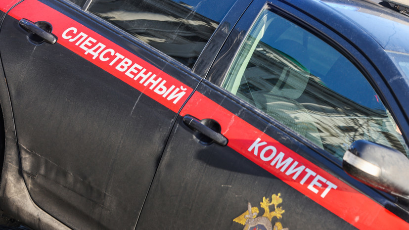 В Калининградской области завели дело после нападения на малолетнего ребёнка