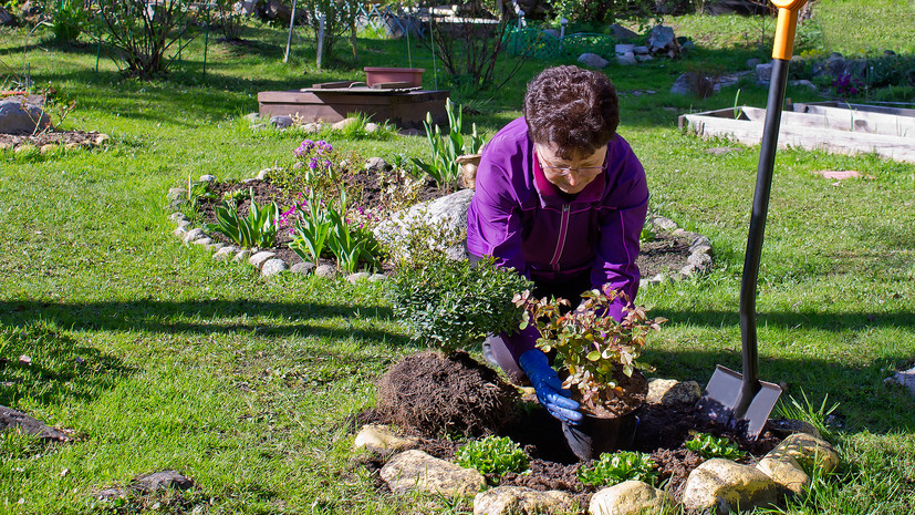 Каждый второй россиянин провёл летний отпуск на даче