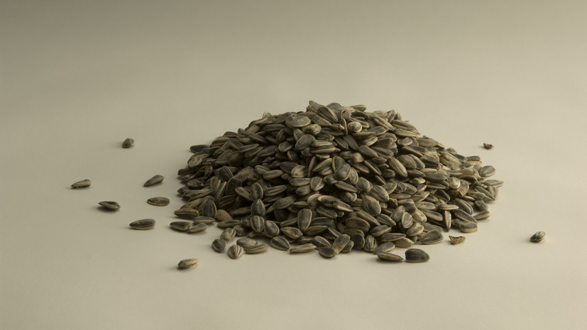 Диетолог Русакова: тыквенные семечки богаты витаминами и минералами