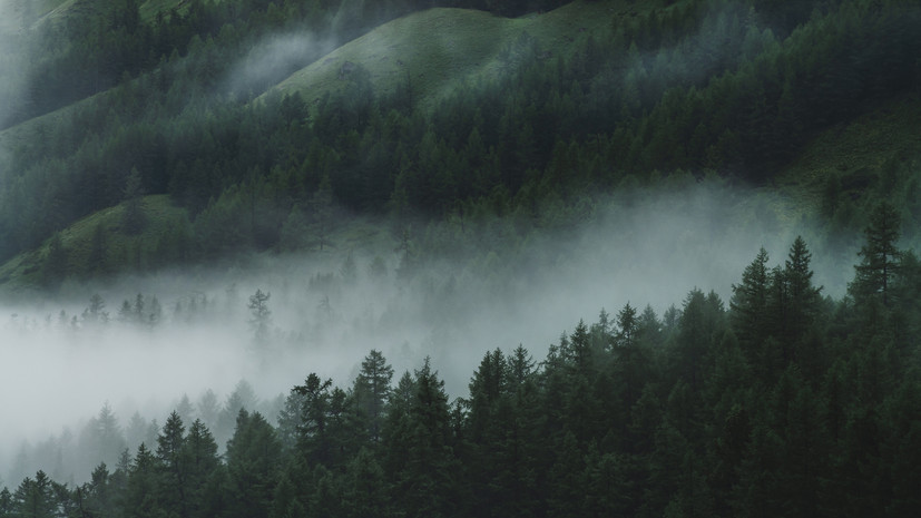 В Красноярском крае пятые сутки ищут пропавшую в тайге семью с ребёнком