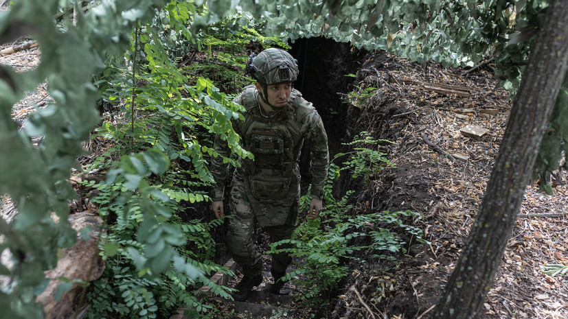 Нардеп Пидласа: Украине не хватит денег на выплаты военным с 1 ноября