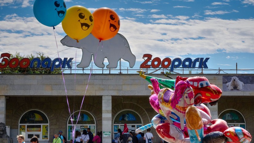 В Петербурге продолжают искать упорхнувшую из зоопарка экзотическую птицу